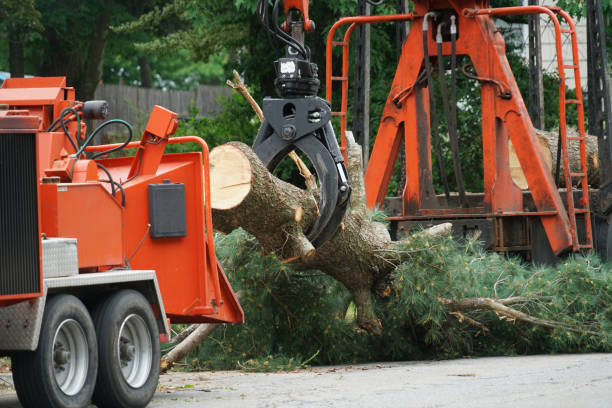 Mulching Services in Brownwood, TX